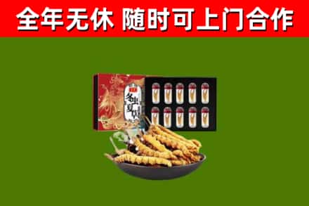 商城回收冬虫夏草价格